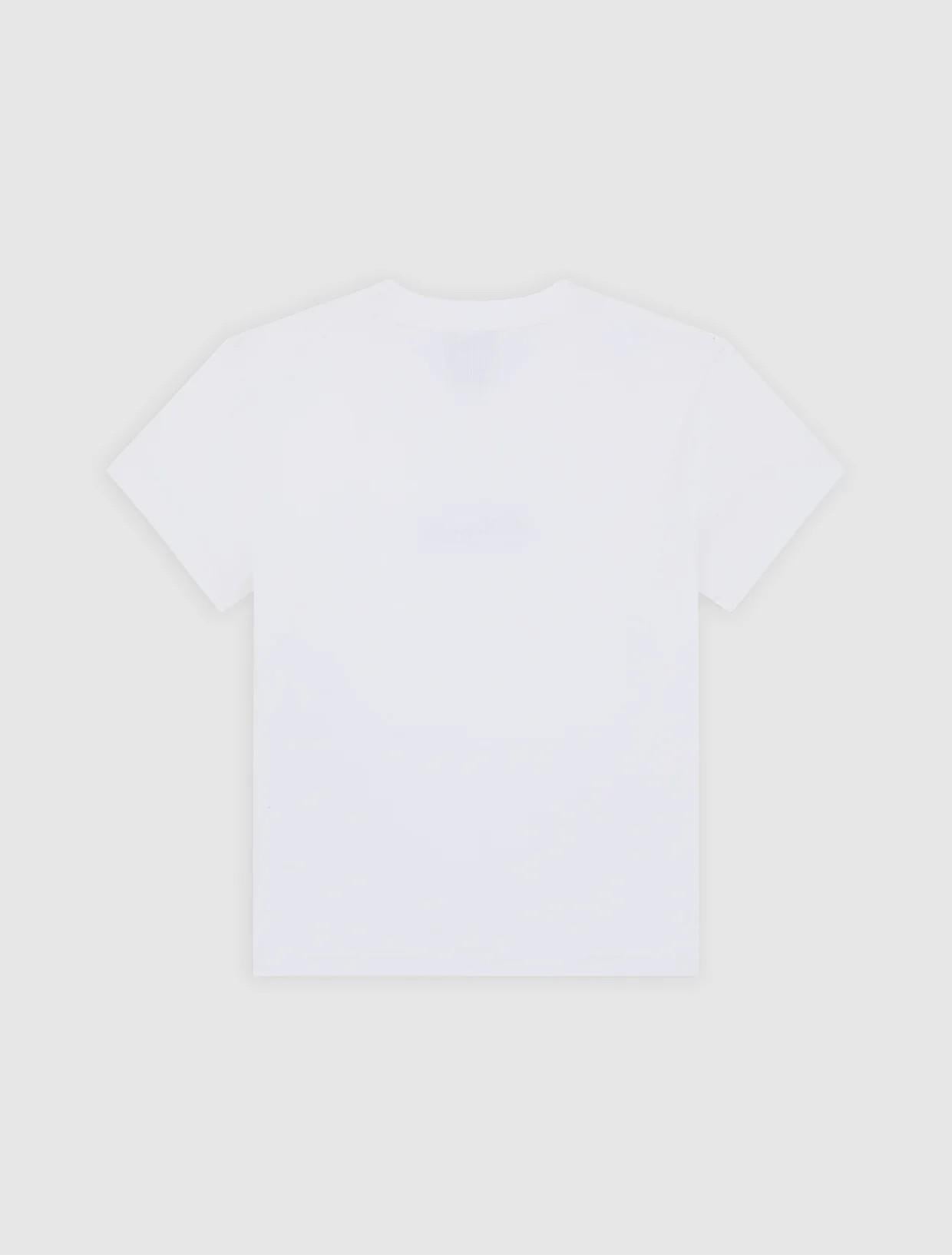 T-shirt di peso medio Wellsville DK0A88JT 0WH1 DICKIES 