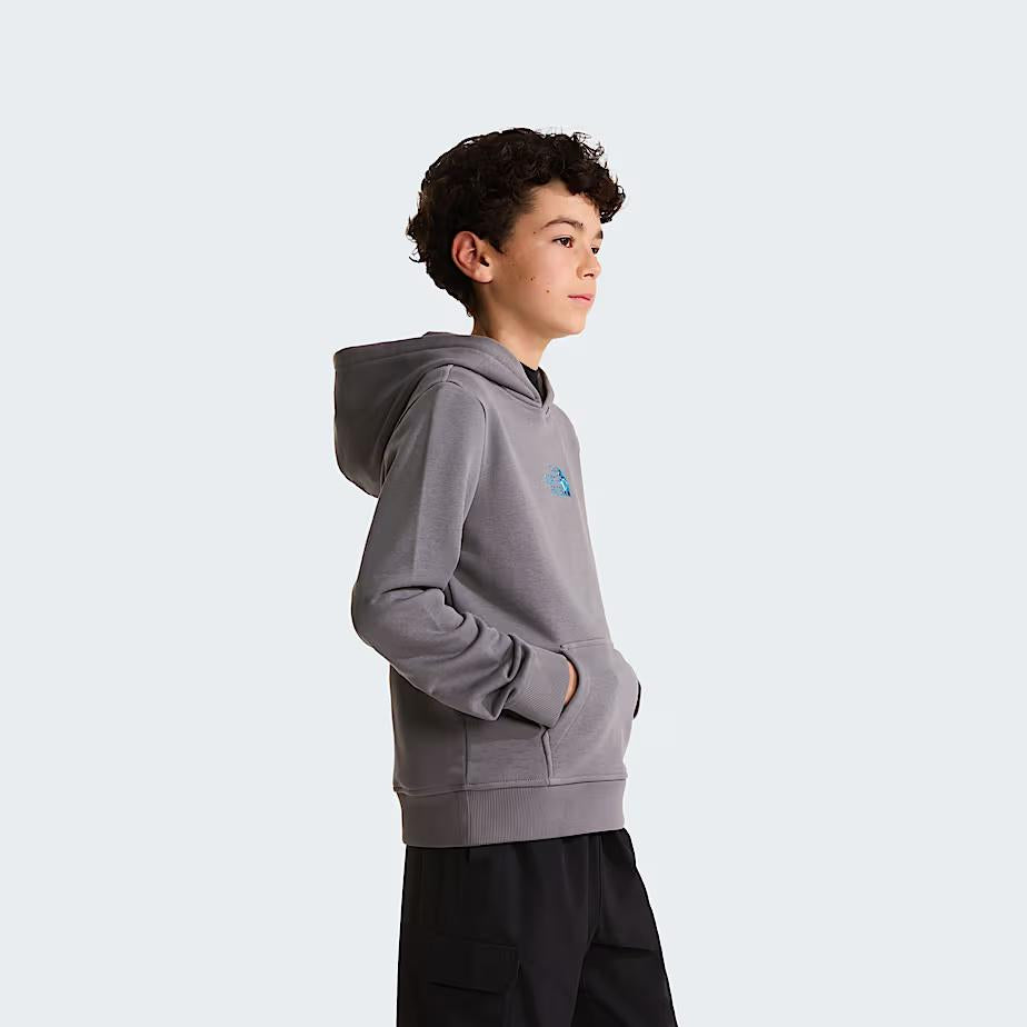 Felpa con cappuccio Liquid Logo Regular NF0A8G1Y 0UZ1 THE NORTH FACE 