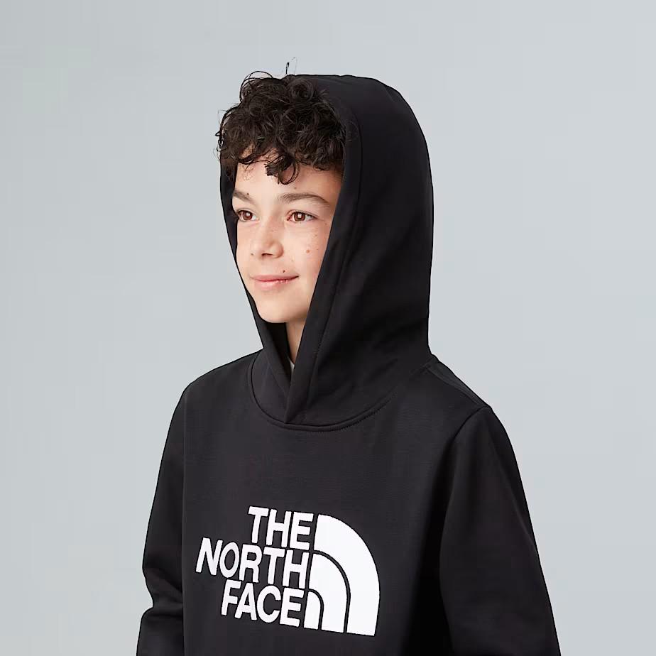 Felpa pullover con cappuccio NF0A8EHH JK31 THE NORTH FACE 