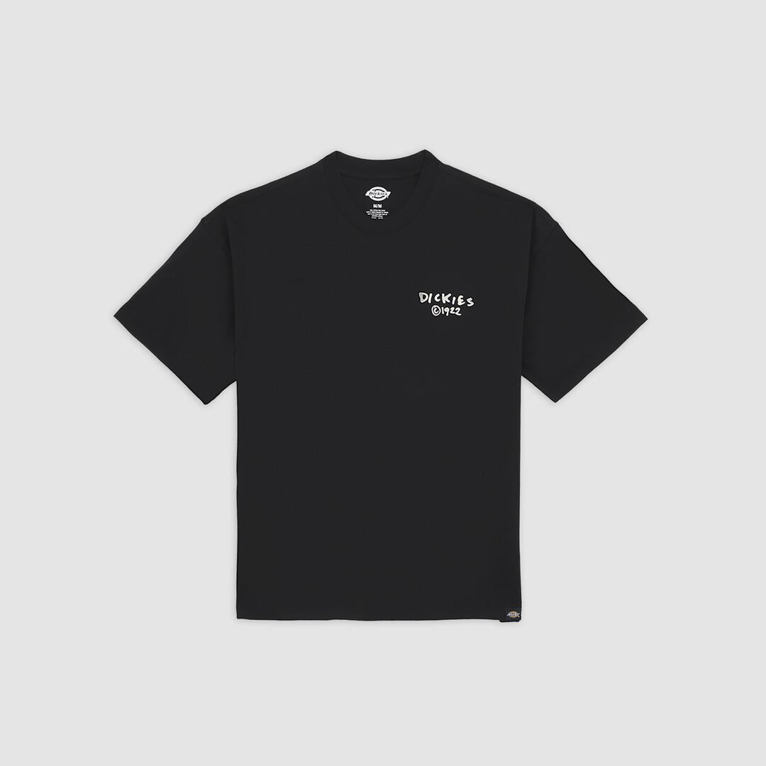 T-shirt leggera Sneedville DK0A87QO BLK1 DICKIES 