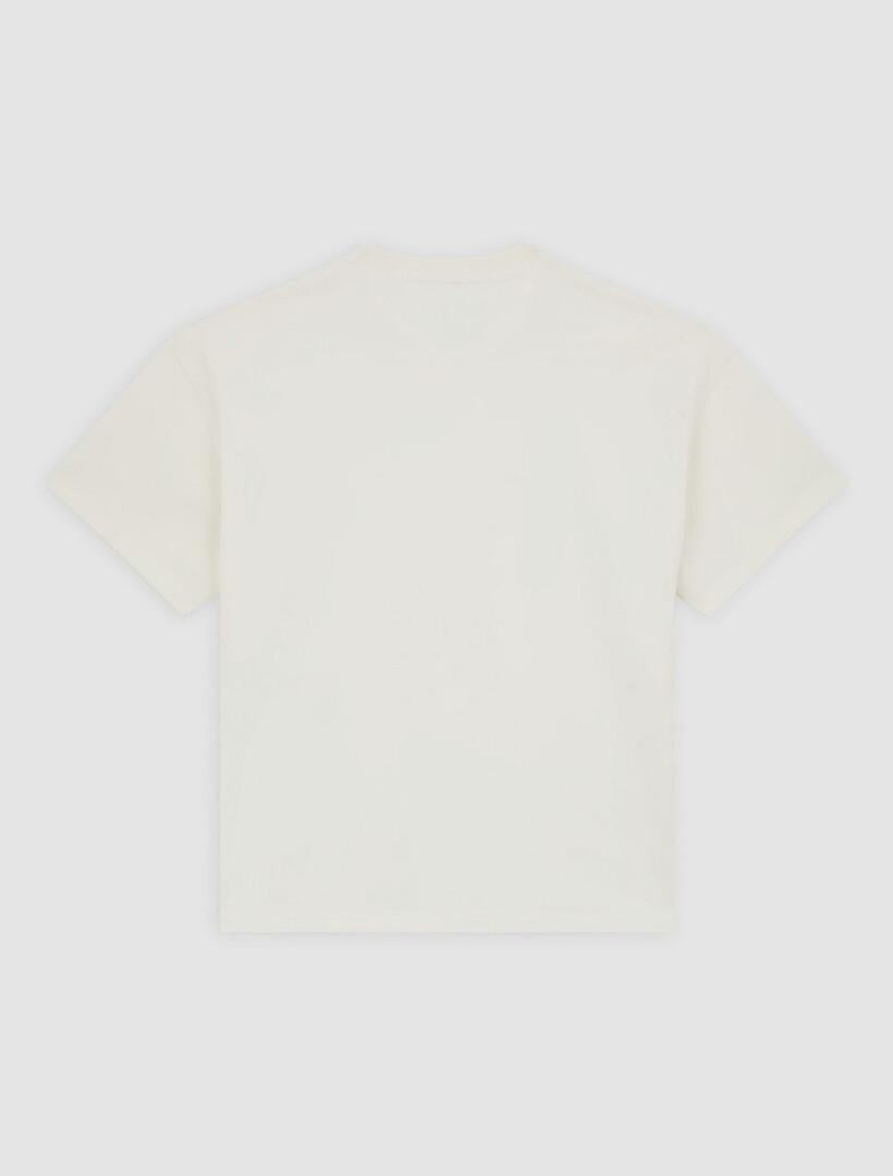 T-shirt pesante Mineral DK0A87QE C481 DICKIES 