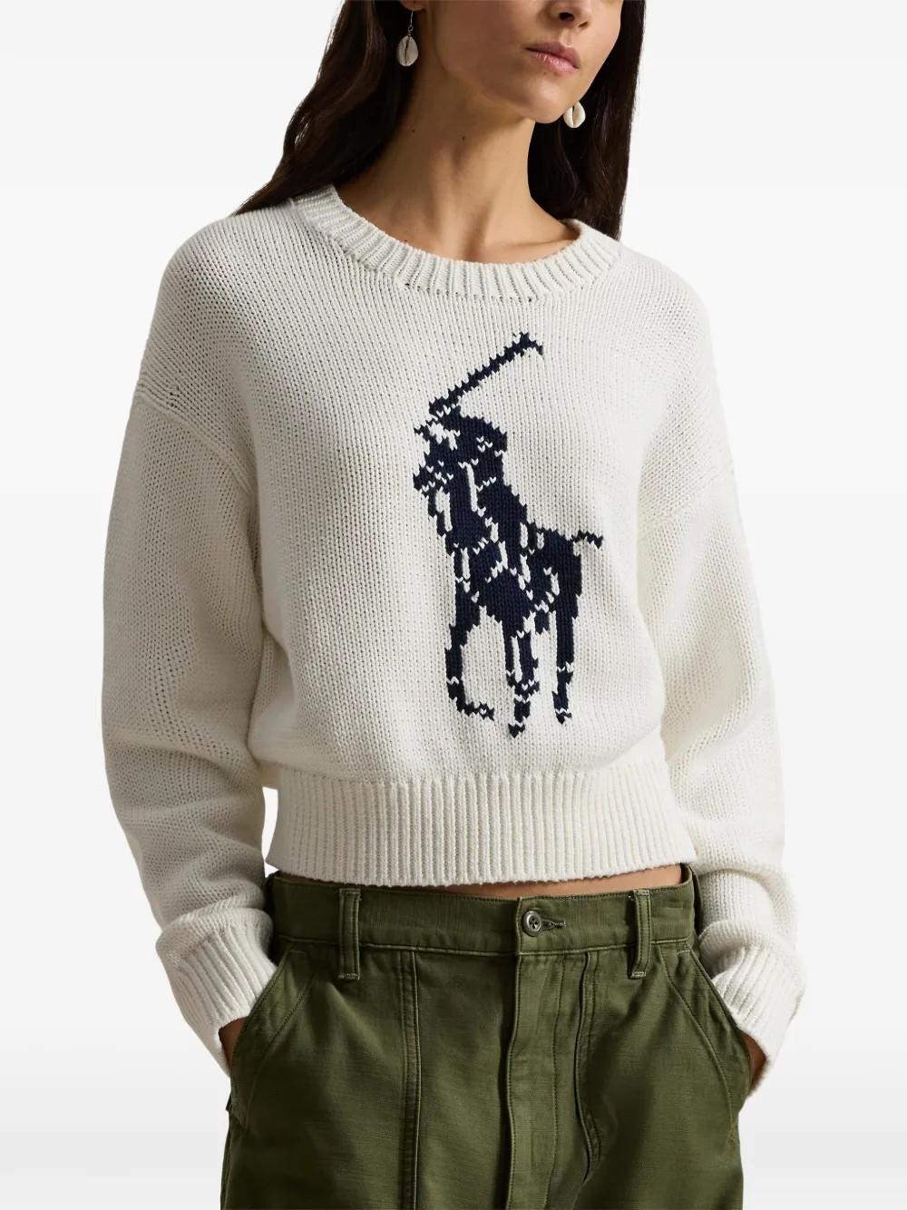 Pullover con logo 211A96234 002 POLO RALPH LAUREN 