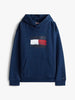 Iconic flag hoodie