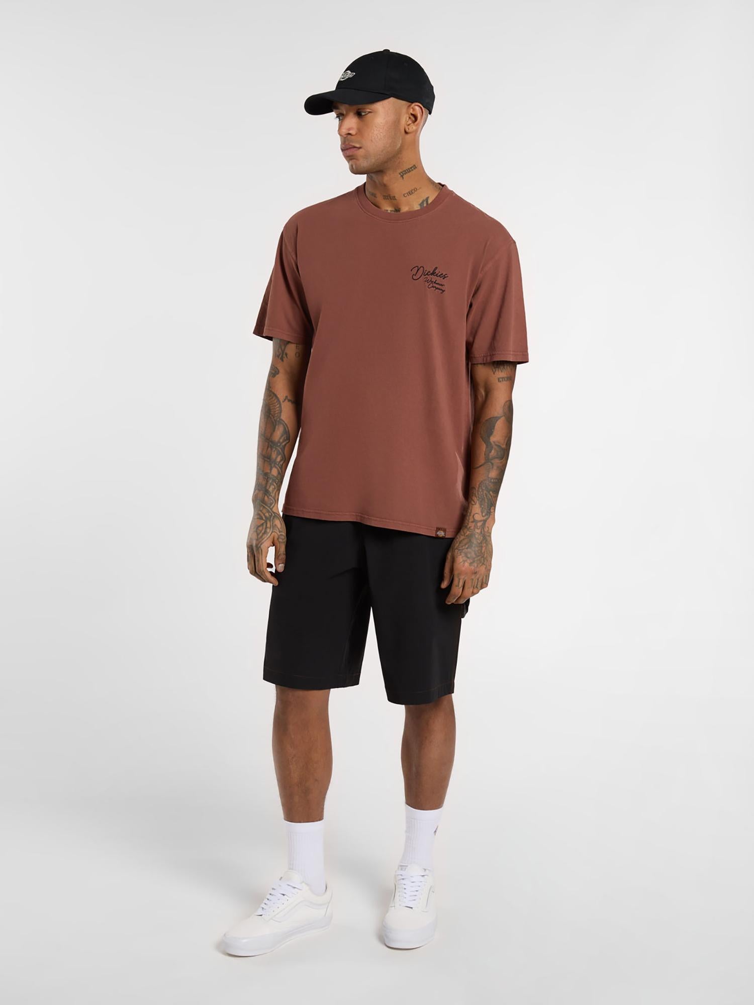 Shorts Wilsall Carpenter DK0A4Z7X BLK1 DICKIES 
