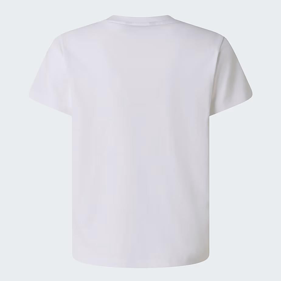 T-shirt Liquid Logo Regular NF0A8G1W FN41 THE NORTH FACE 