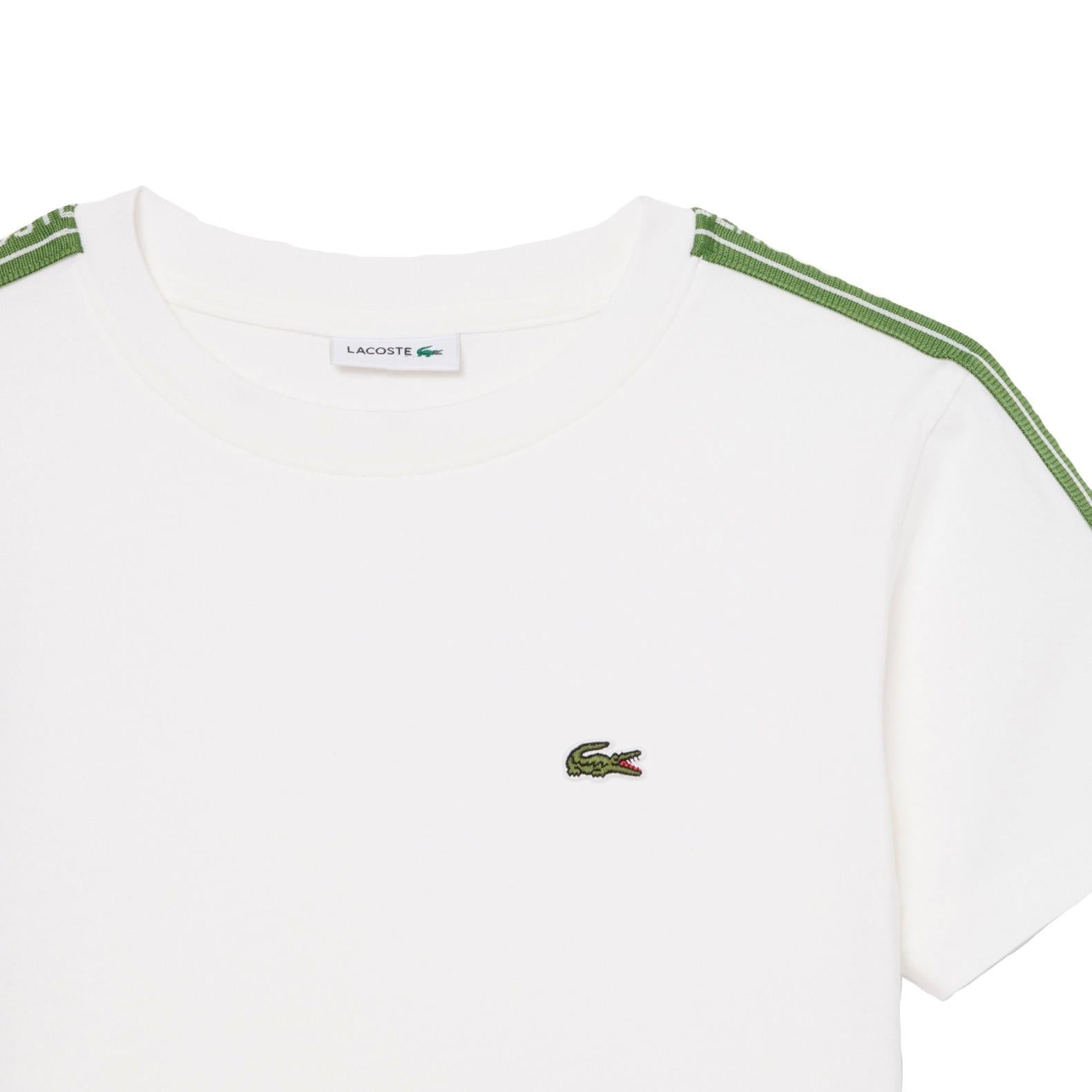 T-shirt in cotone con striscia e logo 847575 70V LACOSTE 
