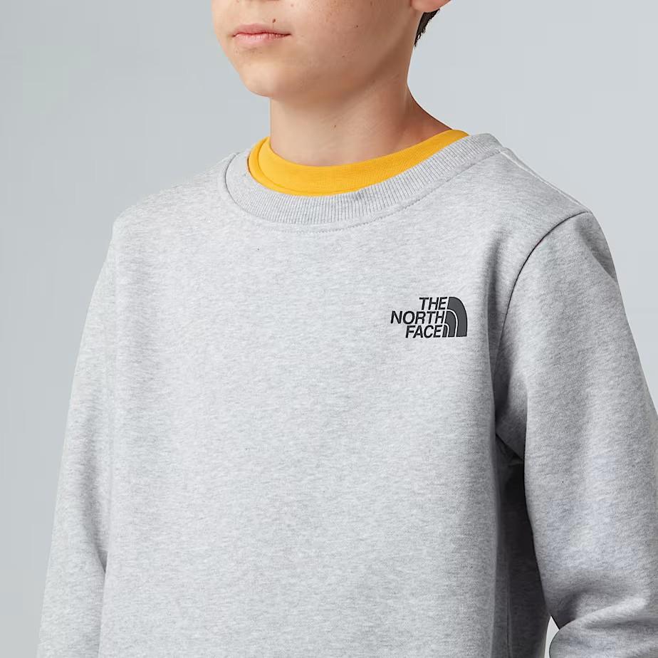 Felpa NSE Box NF0A89H7 DYX1 THE NORTH FACE 
