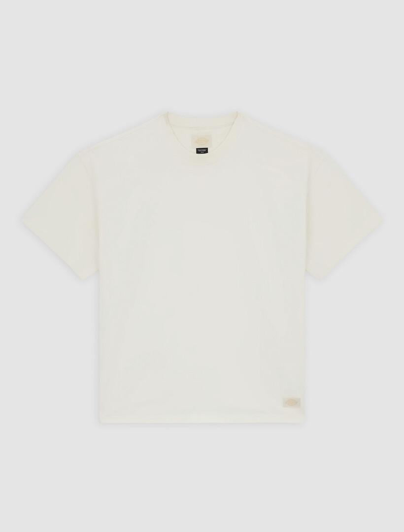 T-shirt pesante Mineral DK0A87QE C481 DICKIES 