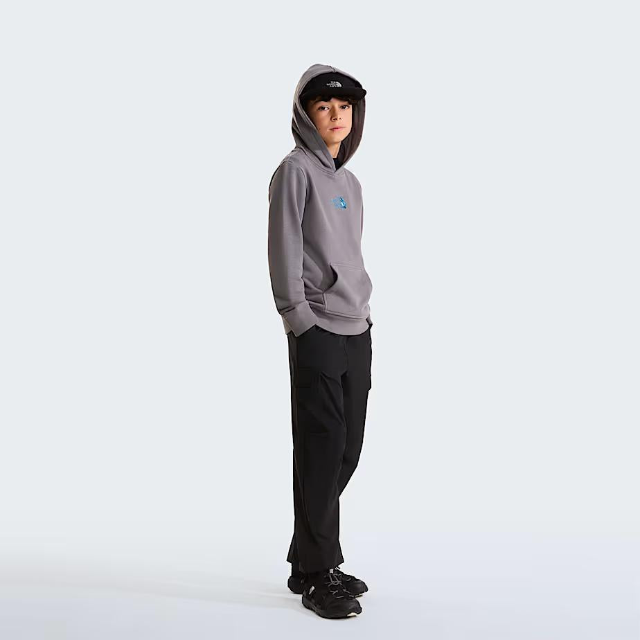 Felpa con cappuccio Liquid Logo Regular NF0A8G1Y 0UZ1 THE NORTH FACE 