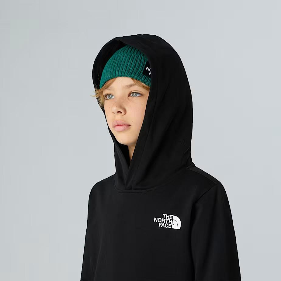 Felpa con cappuccio NF0A89H9 JK31 THE NORTH FACE 