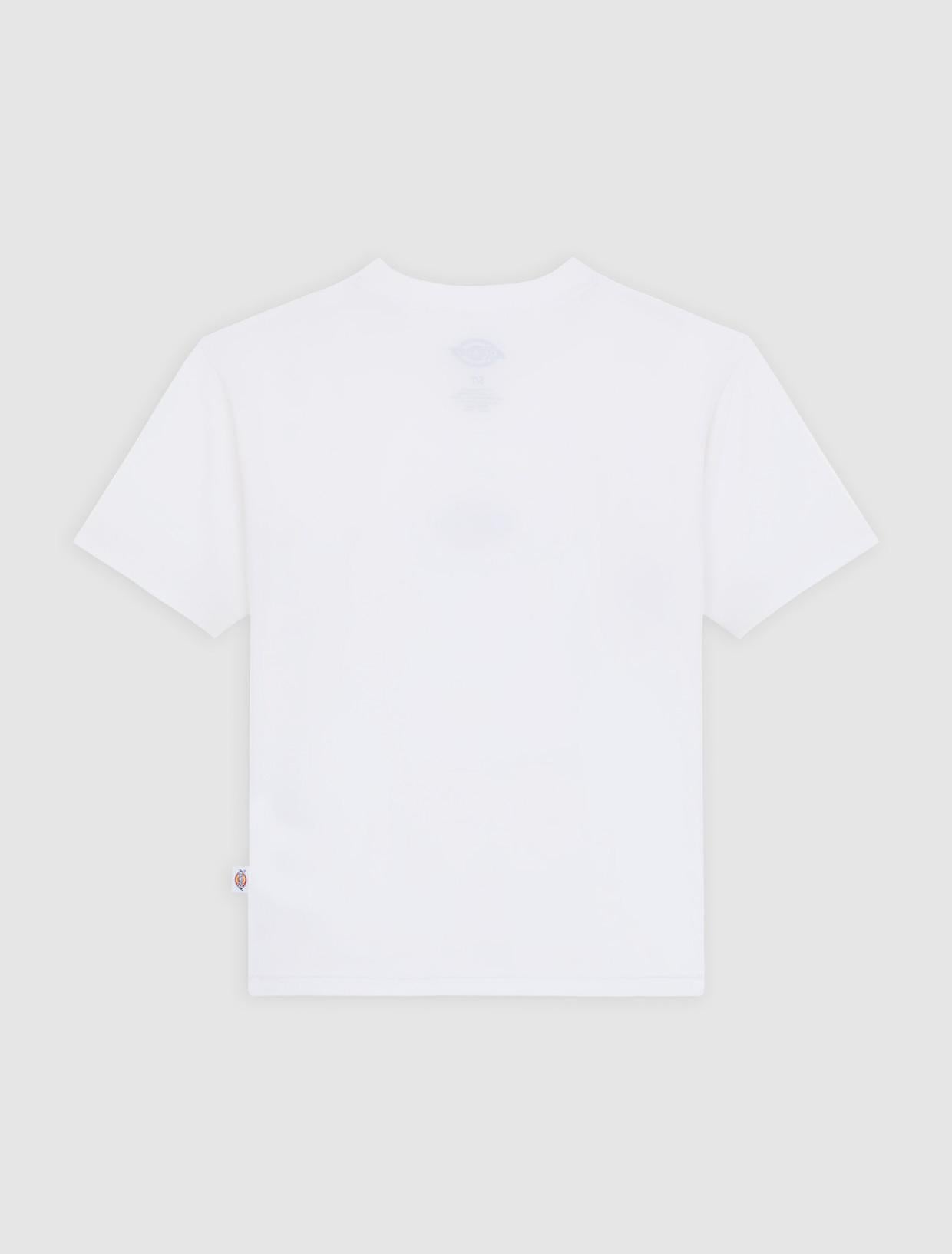 T-shirt Maple Valley Regular DK0A4ZAO 0WH1 DICKIES 