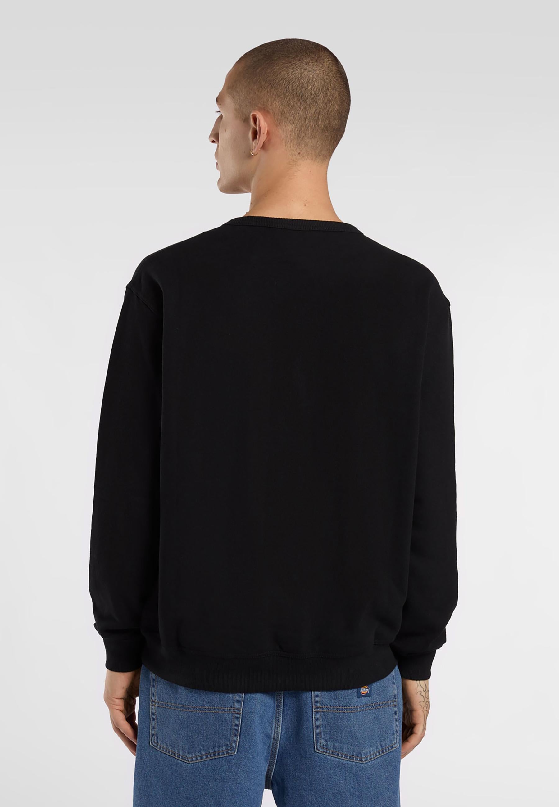 Felpa Lewistown DK0A8682 BLK1 DICKIES 