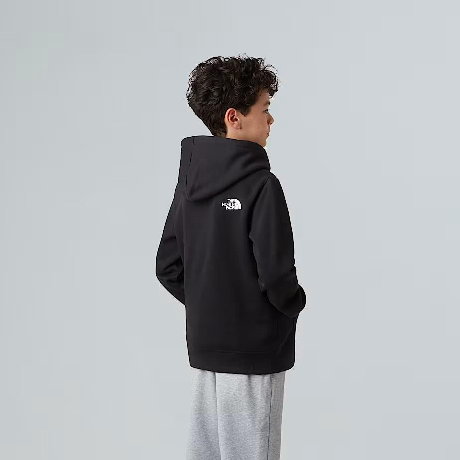 Felpa pullover con cappuccio NF0A8EHH JK31 THE NORTH FACE 