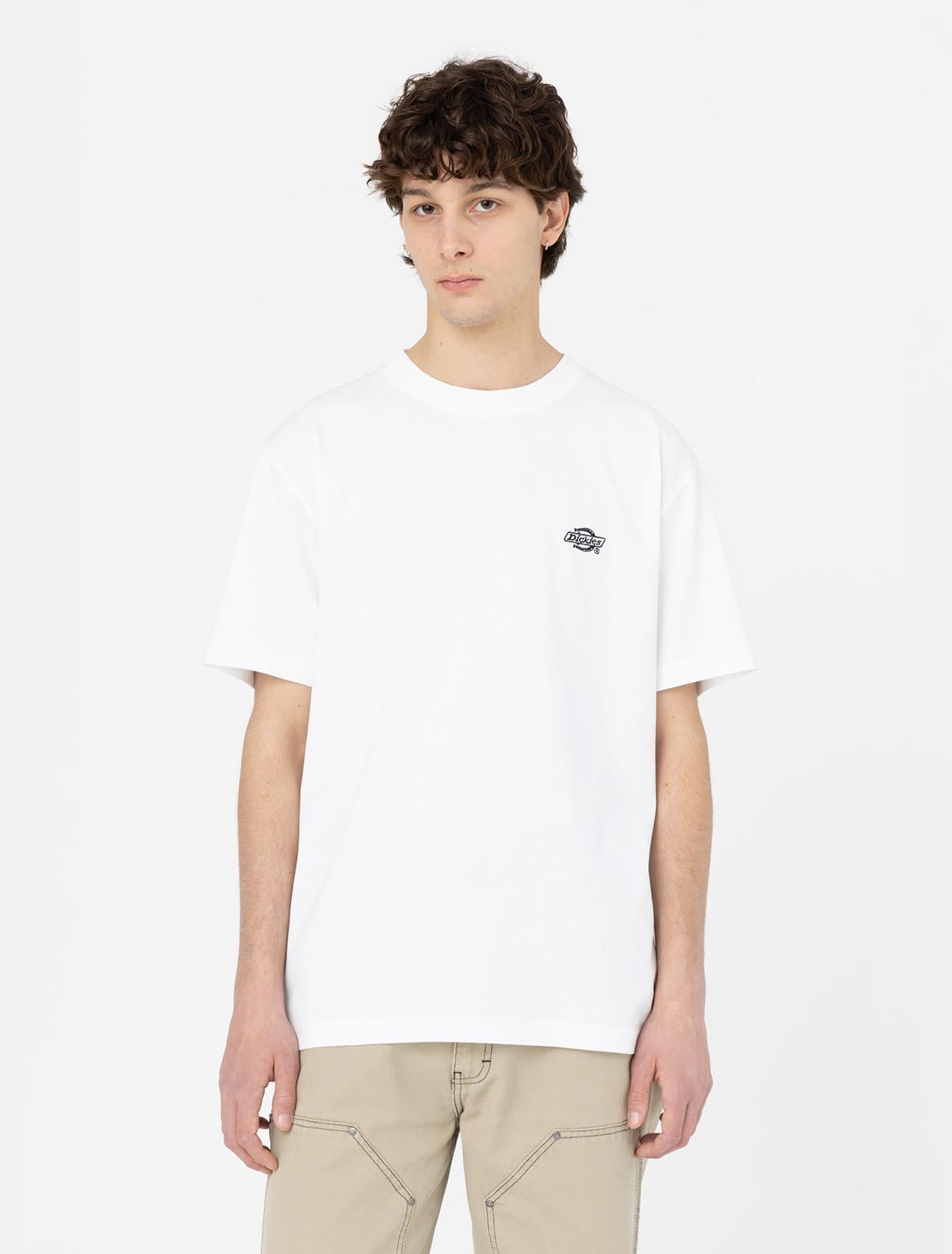 T-shirt Summerdale a maniche corte DK0A4YAI WHX1 DICKIES 