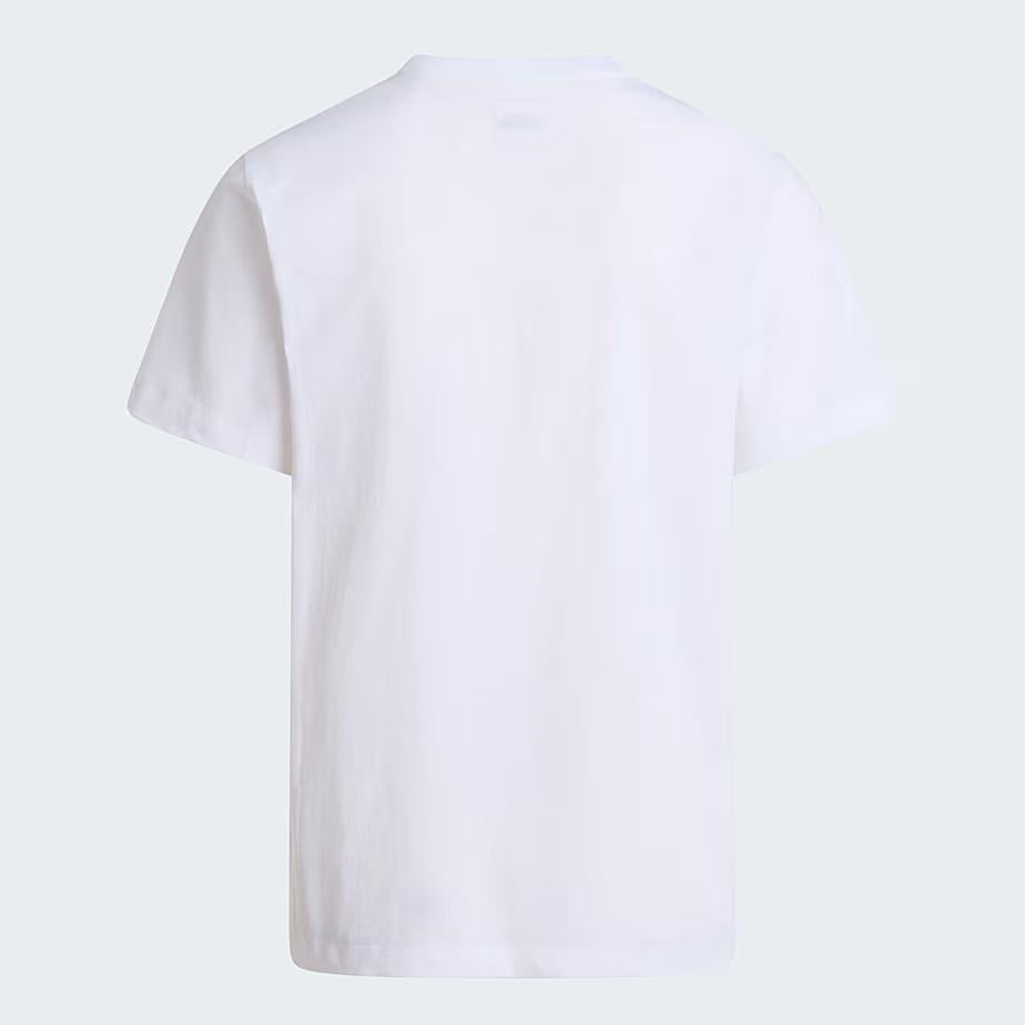 T-shirt Evolution Simple Dome Regular da uomo NF0A8CZ2 FN41 THE NORTH FACE 