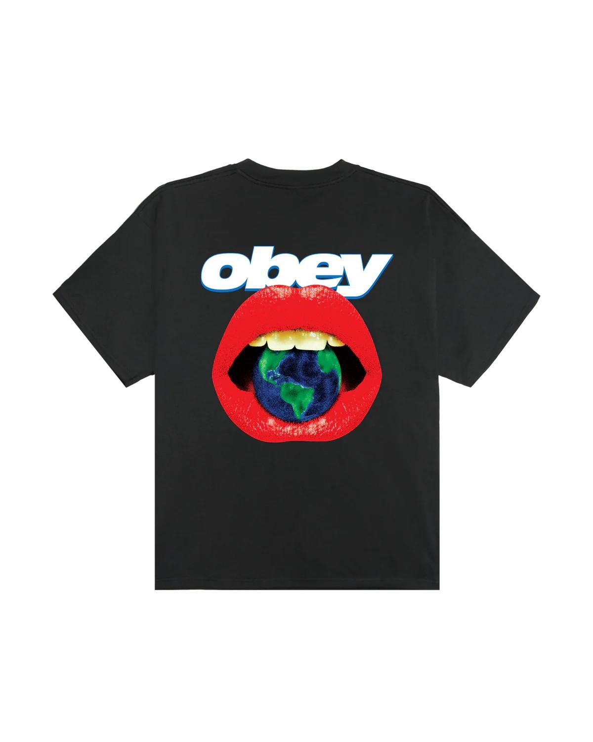 Lips heavyweight t-shirt 168024359 VBL OBEY 