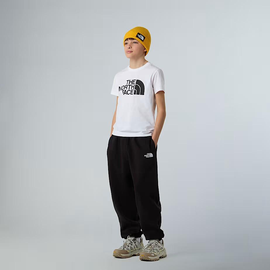 T-shirt NF0A8EHG FN41 THE NORTH FACE 