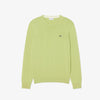 Pullover girocollo monocromatico in cotone