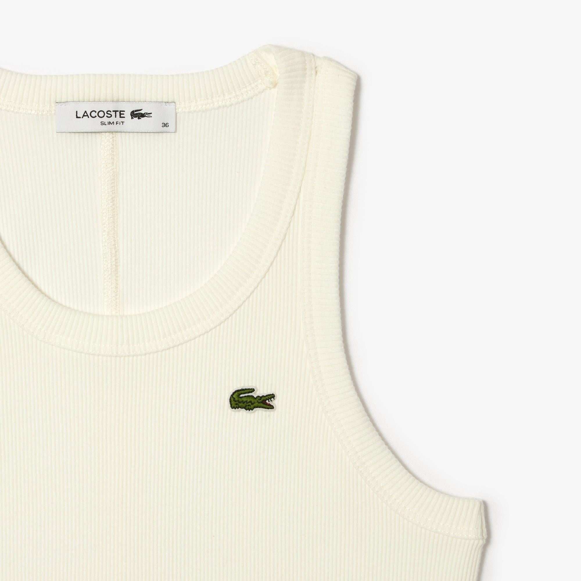 Canotta in cotone slim fit TF5388 70V LACOSTE 