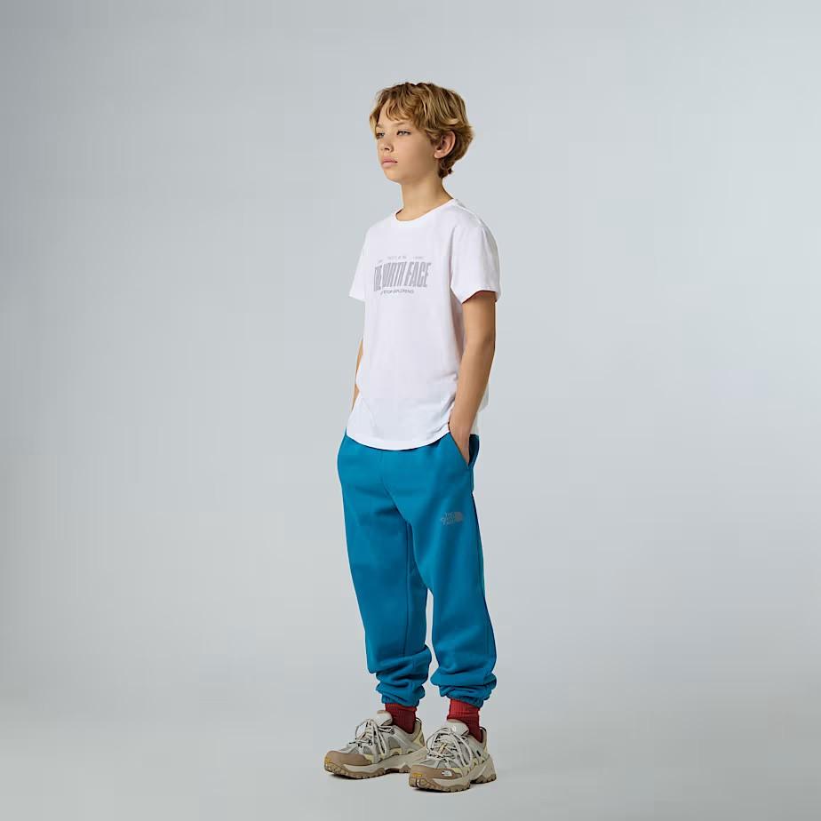 T-shirt NF0A8EAS FN41 THE NORTH FACE 