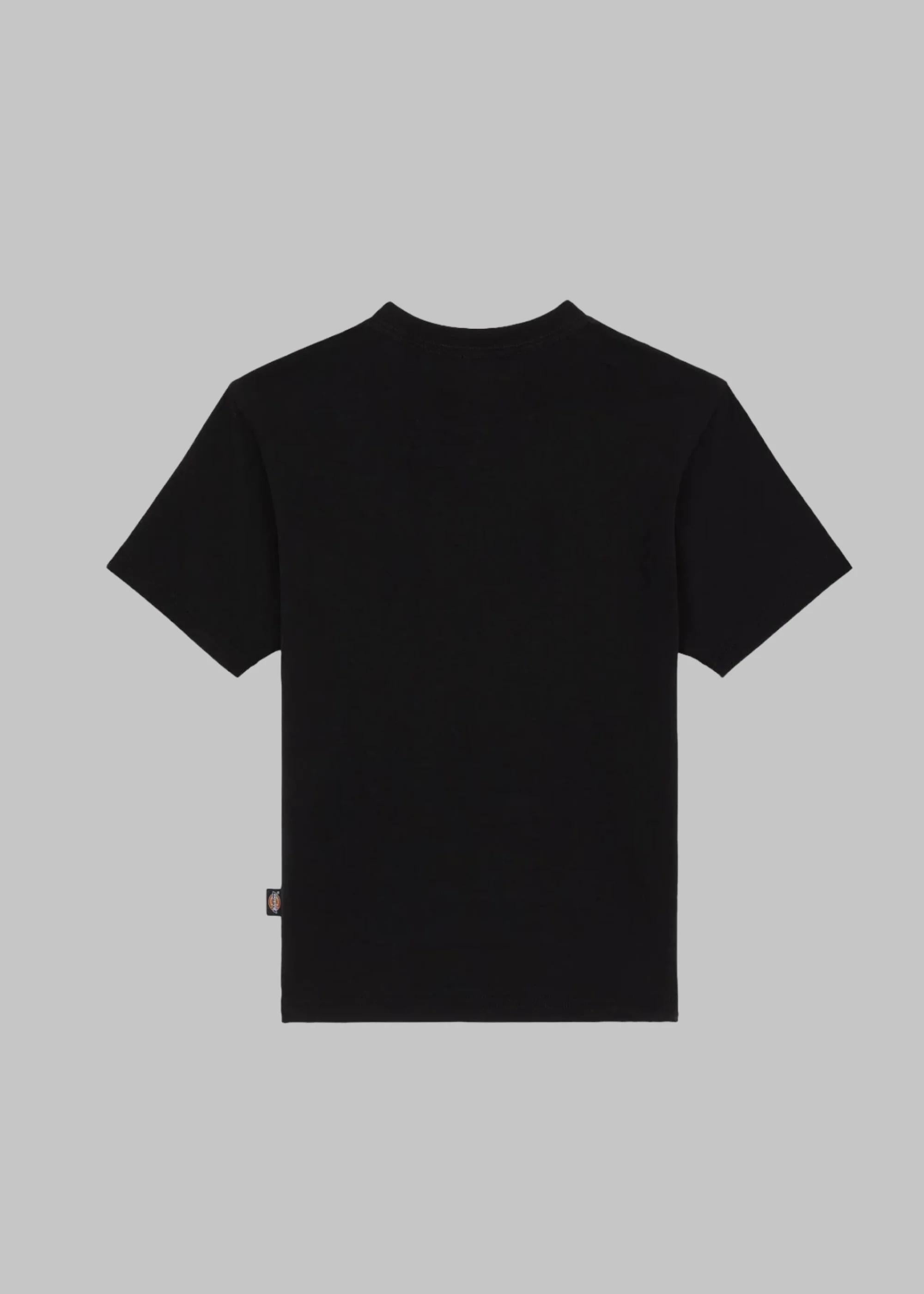 Maple valley reg tee DK0A4ZAO BLK1 DICKIES 