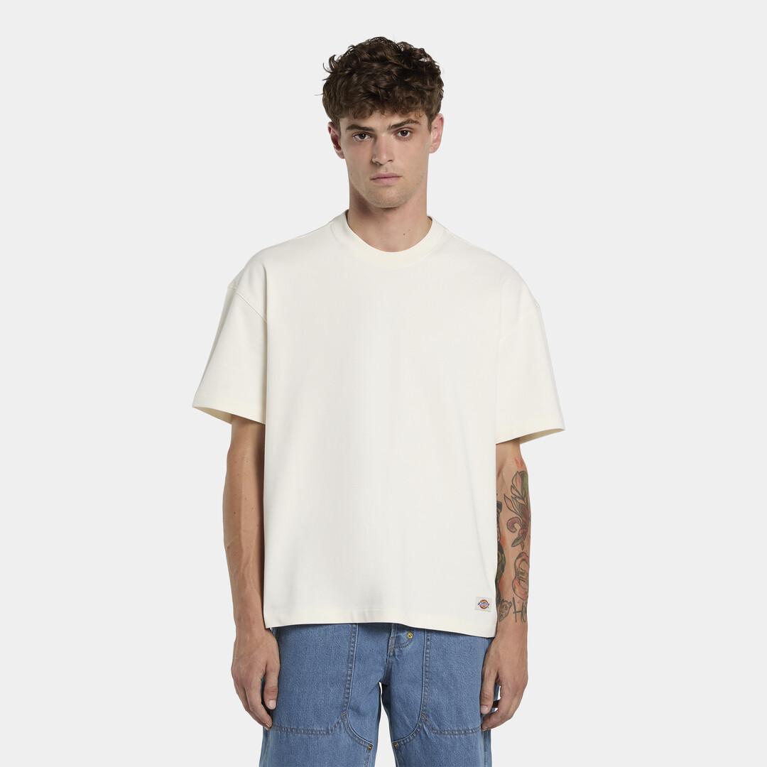 T-shirt pesante Mineral DK0A87QE C481 DICKIES 