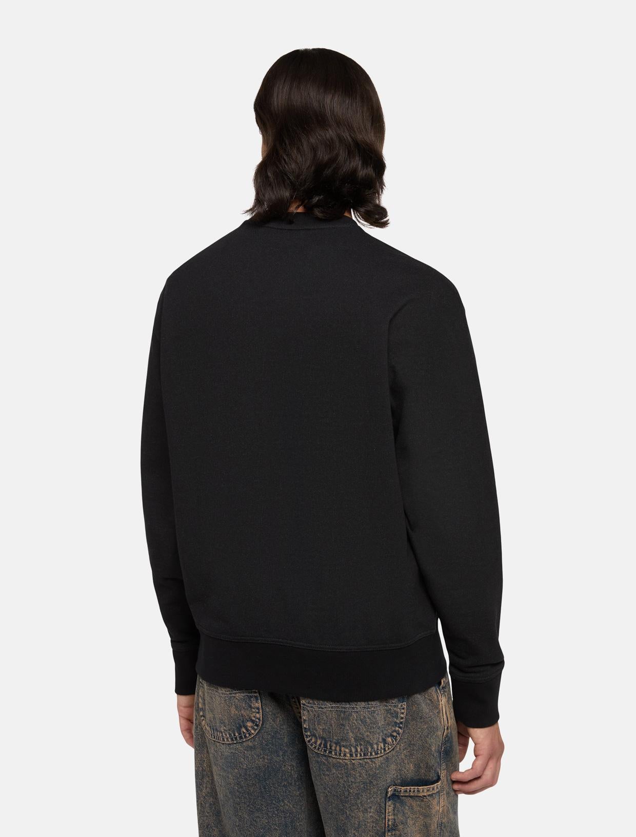 Felpa girocollo Clancy DK0A87CK BLK1 DICKIES 