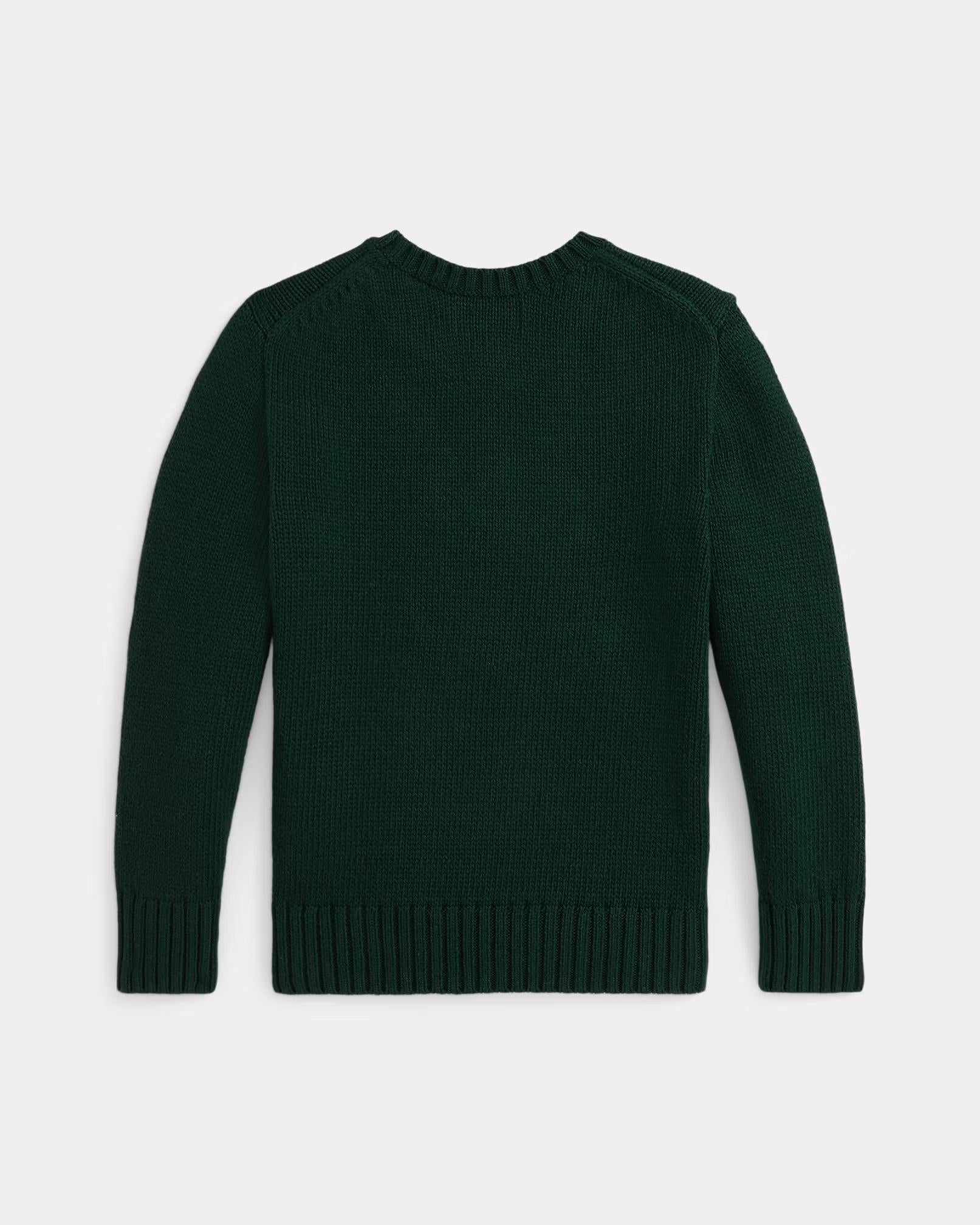 Maglia polo bear 322978393 001 POLO RALPH LAUREN 