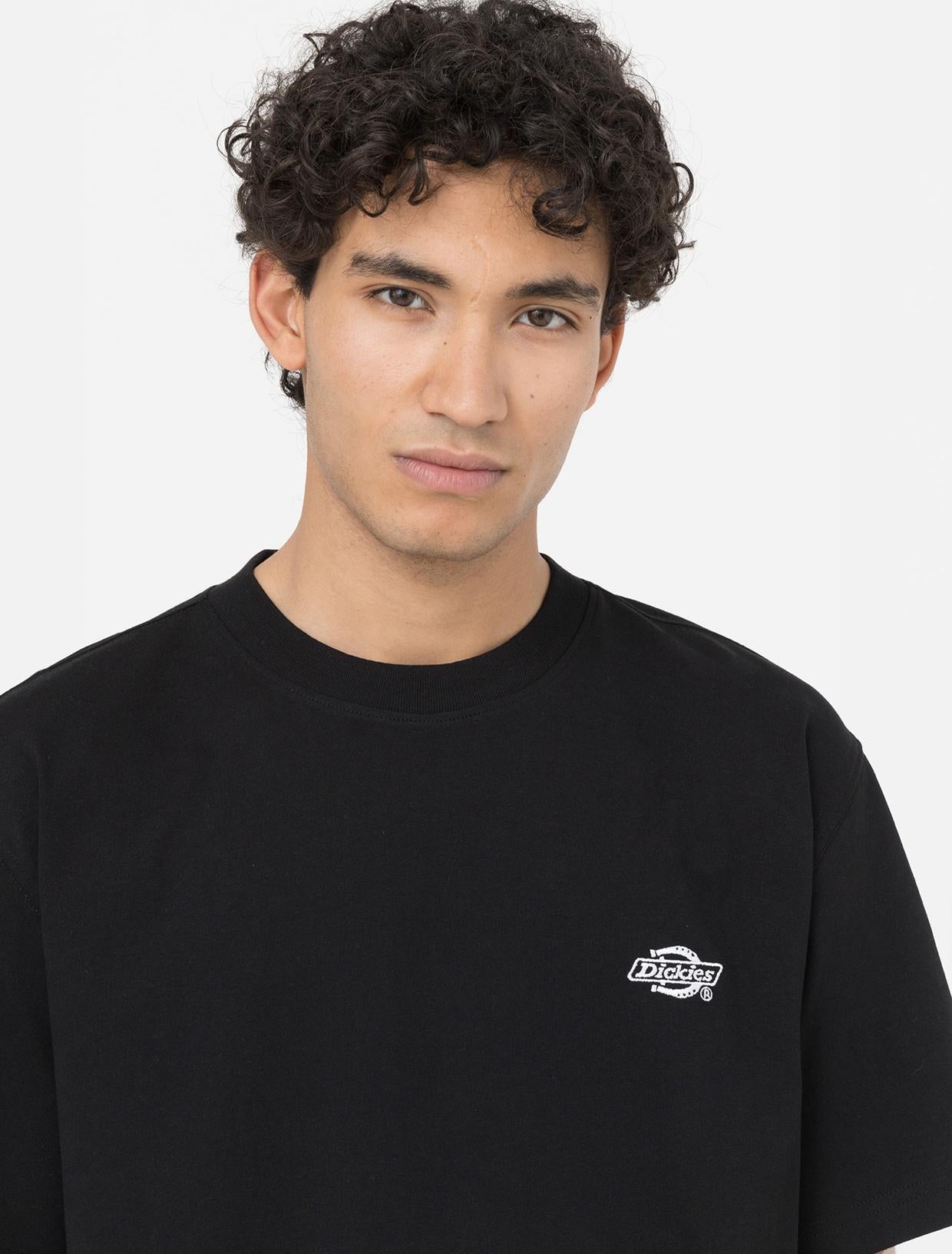 T-shirt Summerdale a maniche corte DK0A4YAI BLK1 DICKIES 