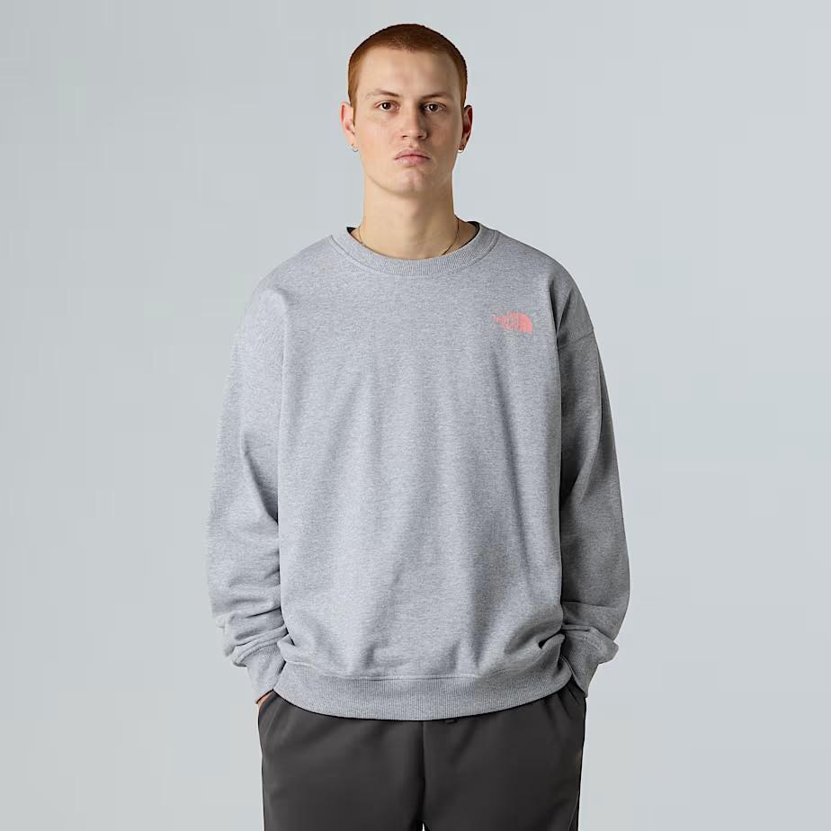 Felpa oversize Expedition Celebration unisex NF0A8E3G DYX1 THE NORTH FACE 