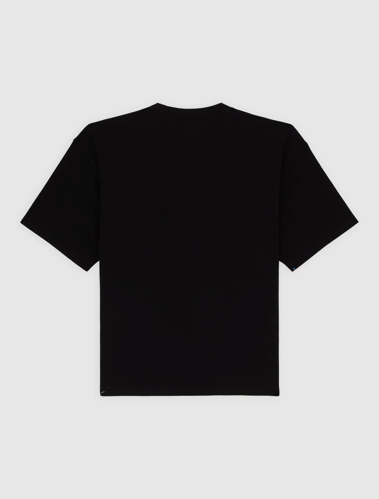 T-shirt Laundry Boxy DK0A4Z97 BLK1 DICKIES 