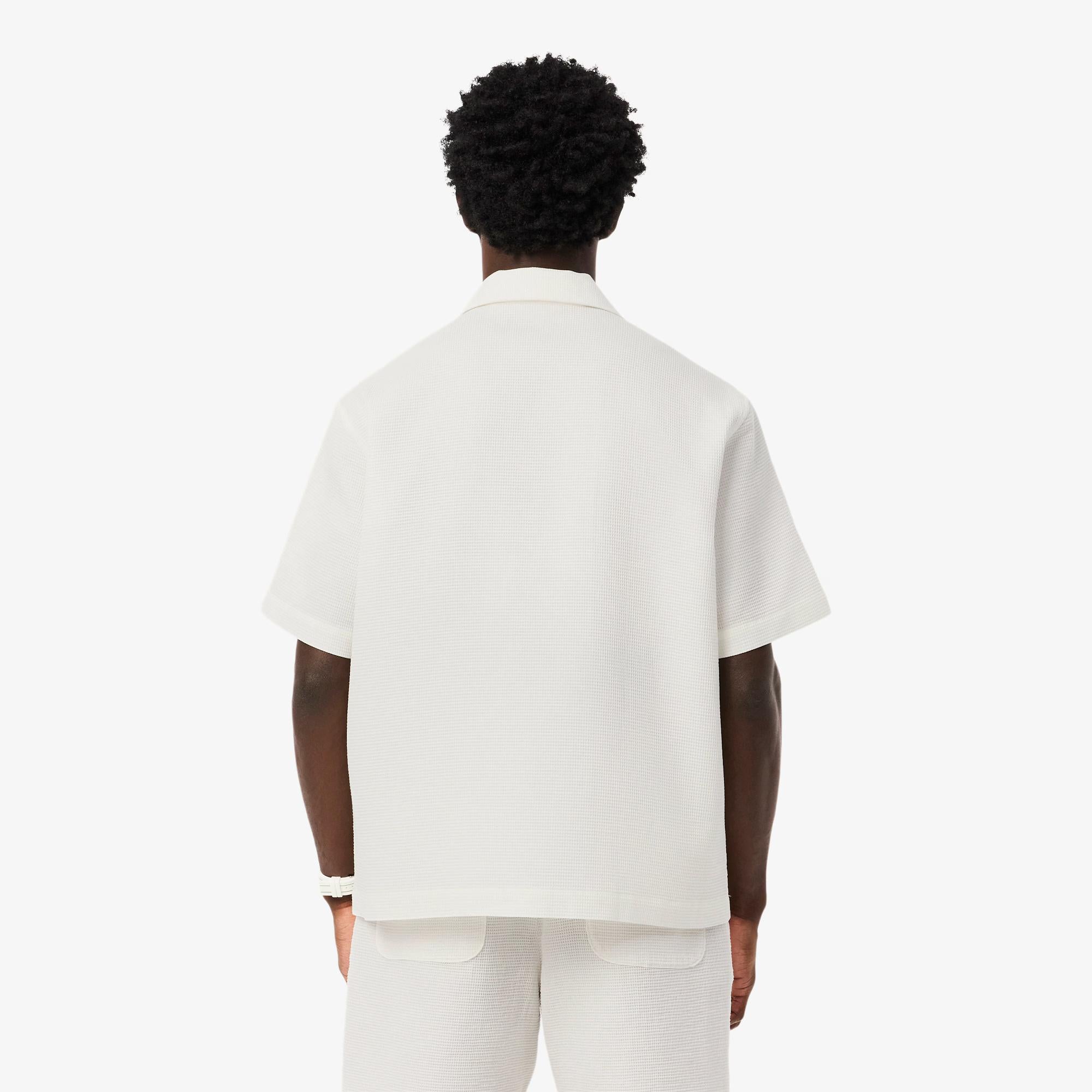 Camicia a nido d'ape CH9924 70V LACOSTE 