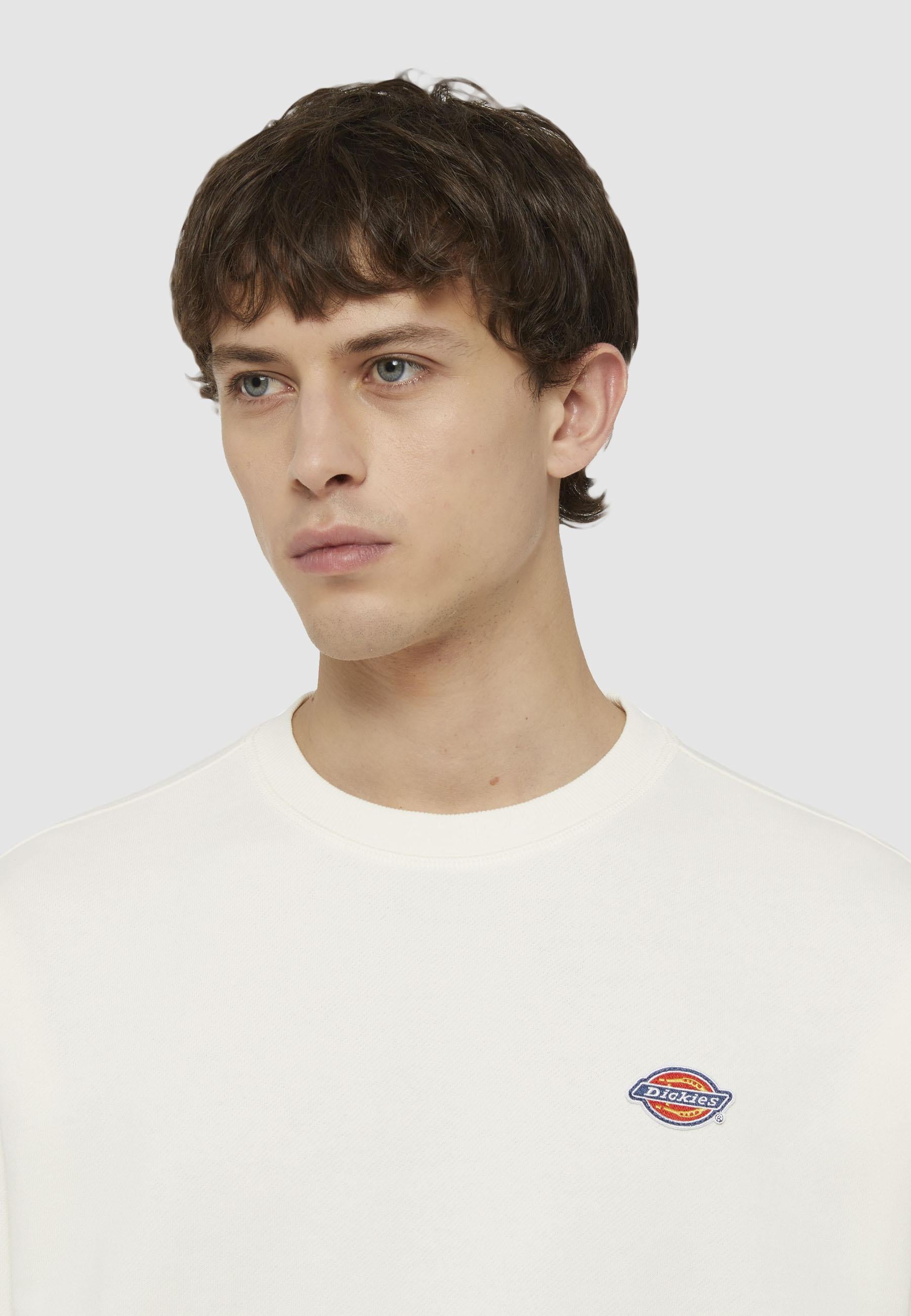 Felpa Millersburg DK0A4YLZ ECR1 DICKIES 