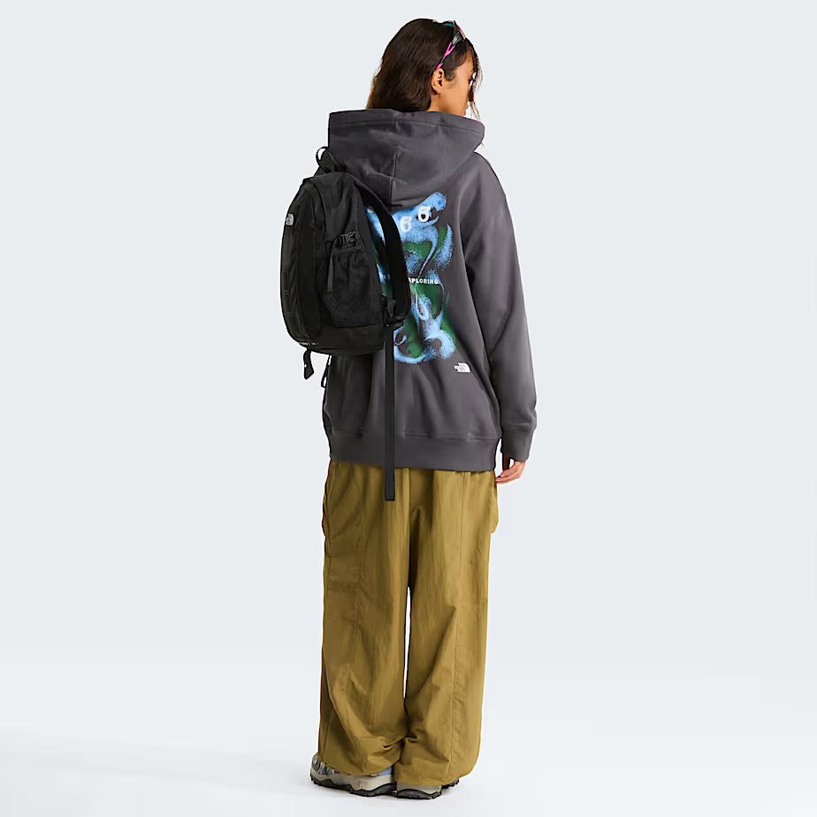Felpa con cappuccio 1966 Motion Relaxed con grafica NF0A8GAJ RHI1 THE NORTH FACE 