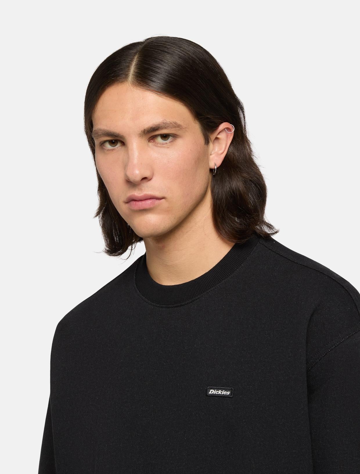 Felpa girocollo Clancy DK0A87CK BLK1 DICKIES 