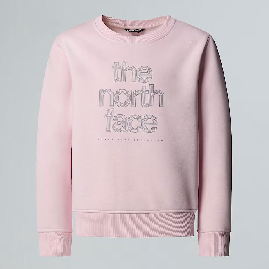 Felpa Reflective NF0A8EAP BP61 THE NORTH FACE 