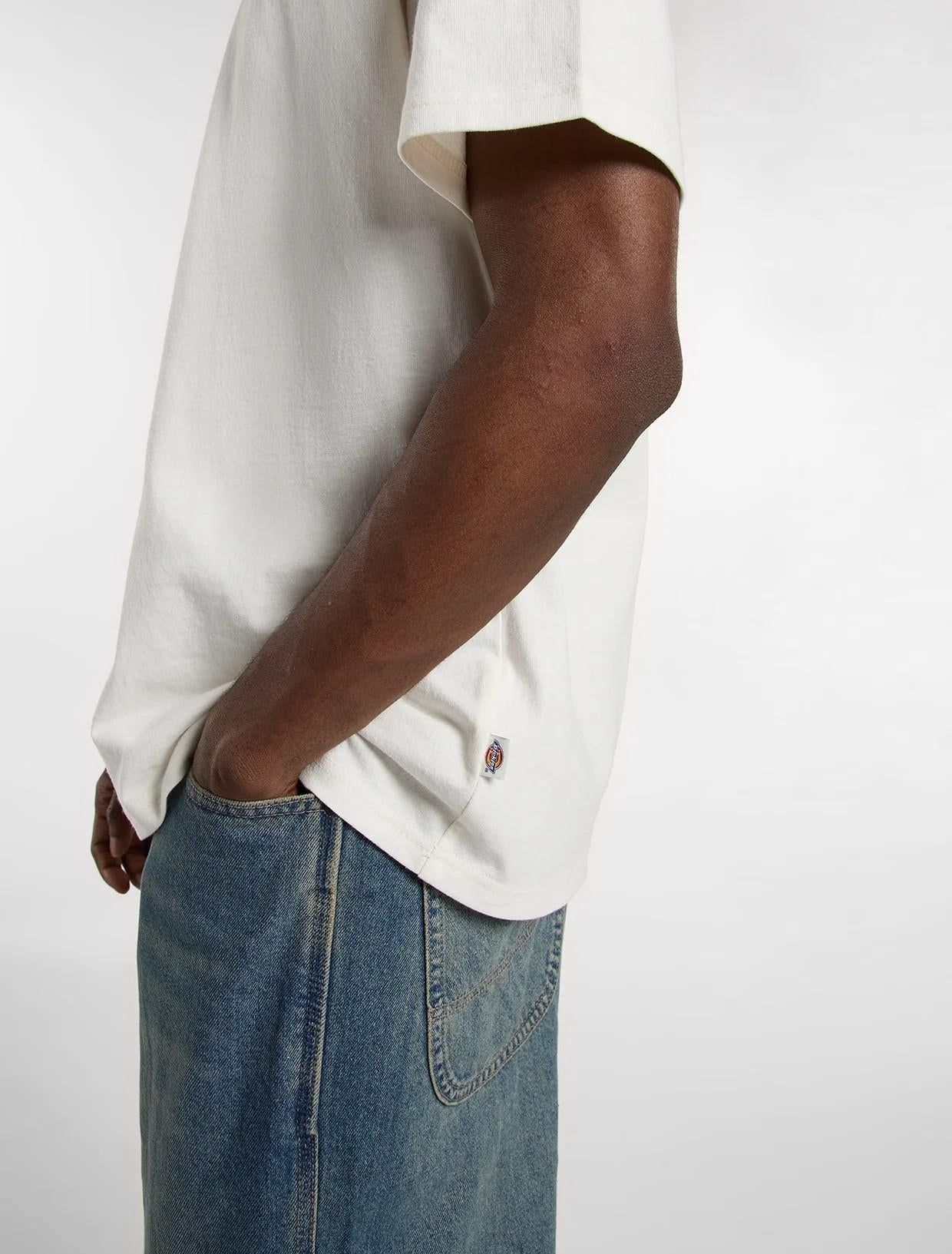 T-shirt di peso medio Loretto DK0A89EN ECR1 DICKIES 
