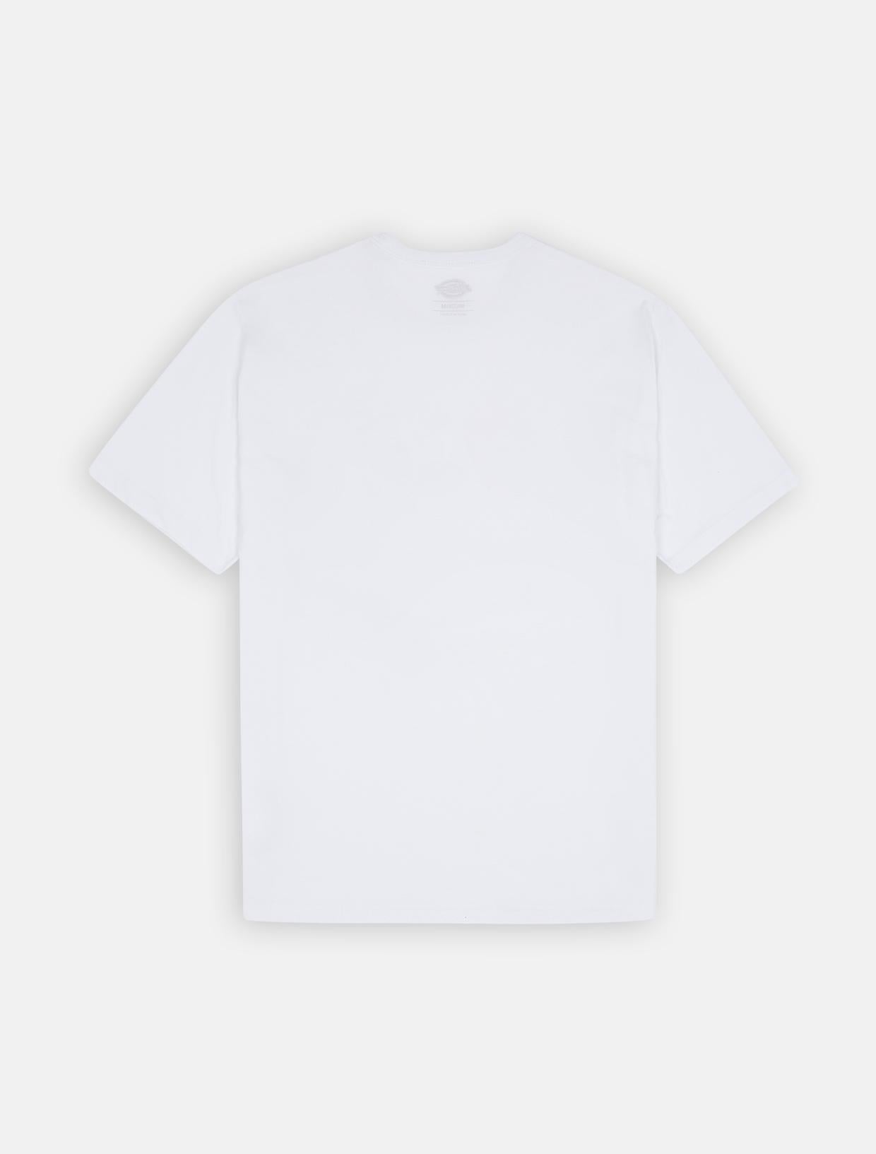 T-shirt Summerdale a maniche corte DK0A4YAI WHX1 DICKIES 