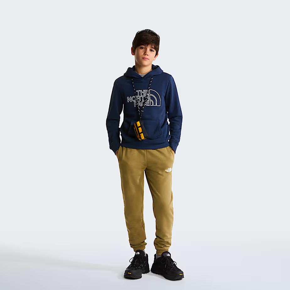 Felpa con cappuccio Drew Peak Light Regular NF0A8GR8 8K21 THE NORTH FACE 