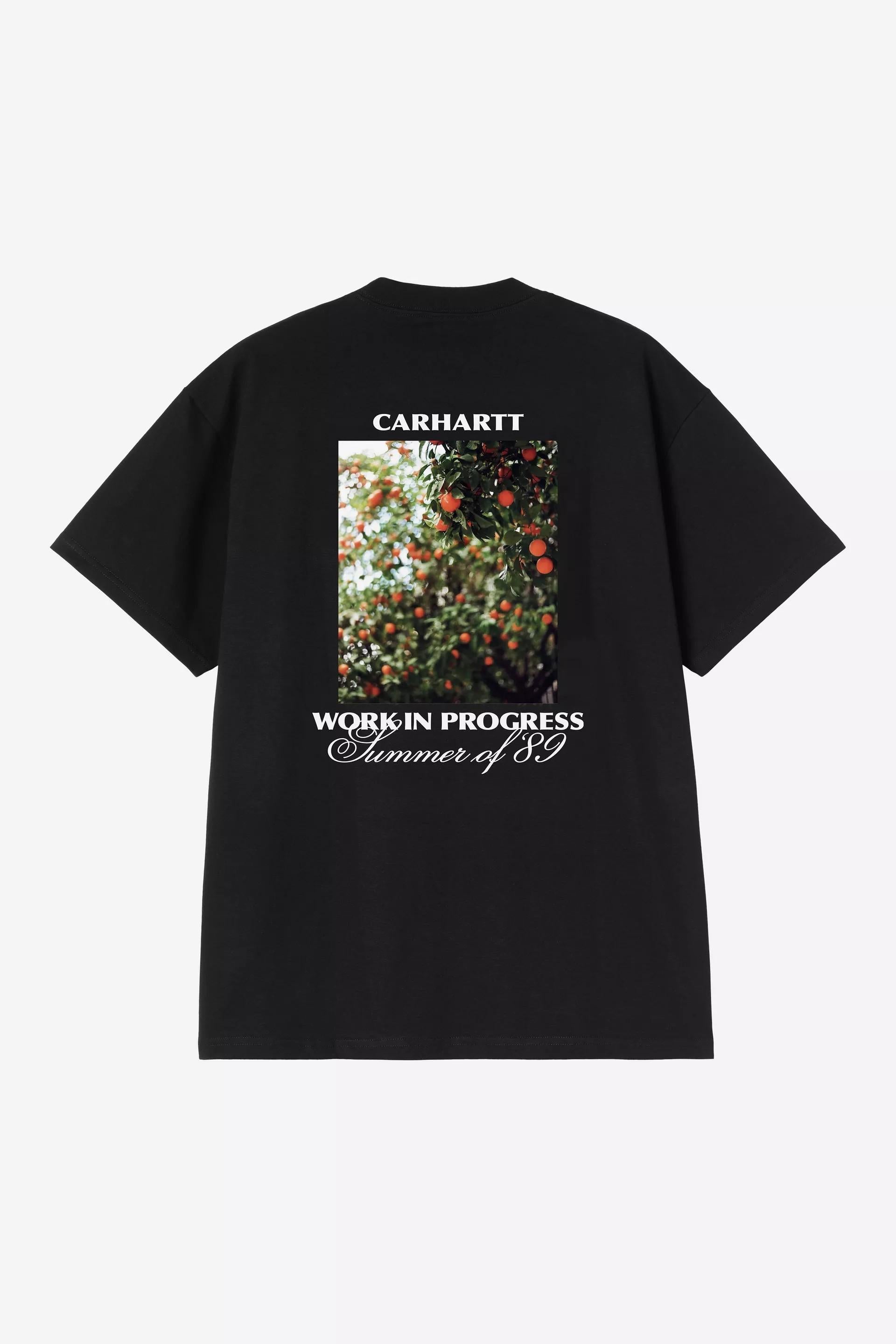 S/S Warm Views T-Shirt I036246 89XX CARHARTT WIP 